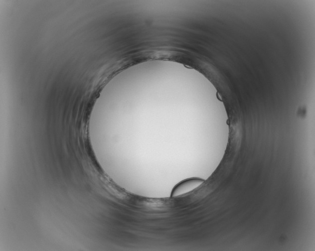 X0000113620381200909181122