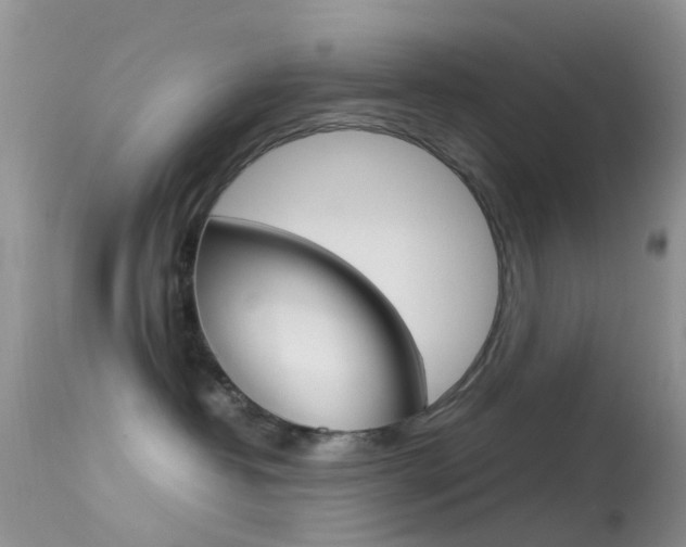 X0000113620382200909181122