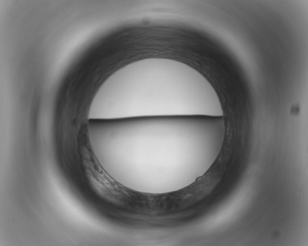 X0000113620383200909181122