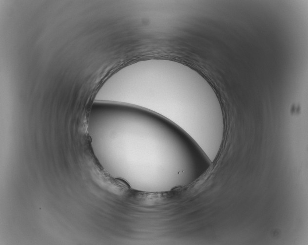 X0000113620384200909181122