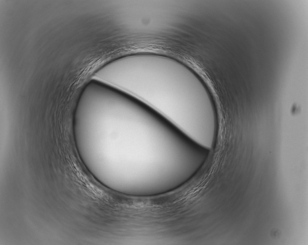 X0000113620385200909181121