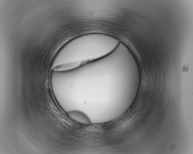 X0000113620386200909181121