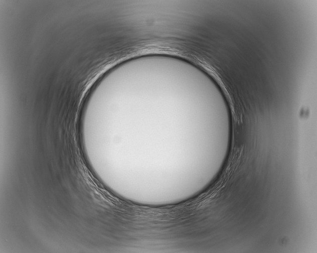 X0000113620387200909181121