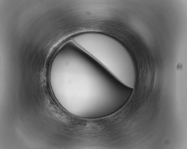 X0000113620388200909181121