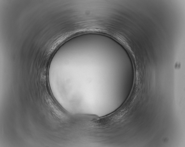 X0000113620389200909181121