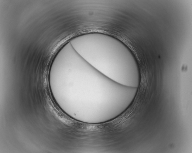 X0000113620390200909181121