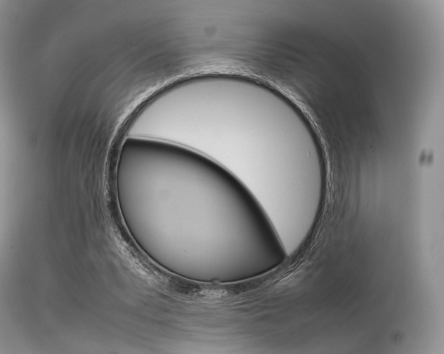 X0000113620391200909181121