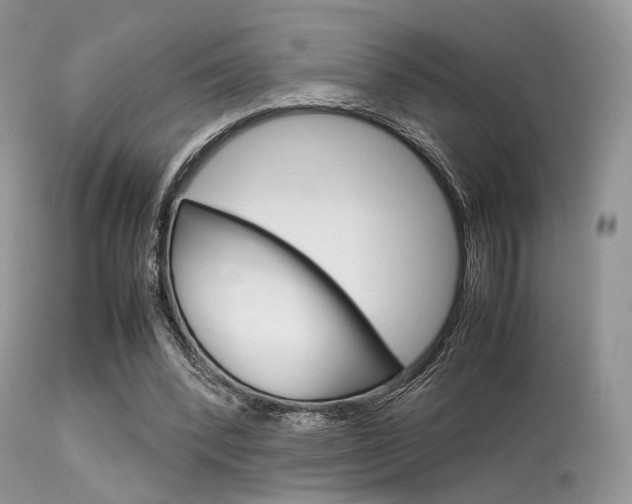 X0000113620392200909181121