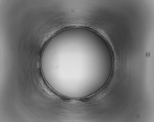 X0000113620393200909181121