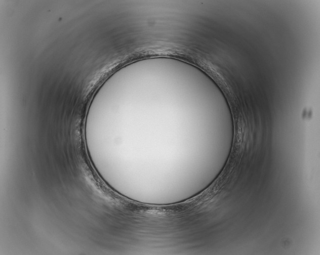 X0000113620394200909181121