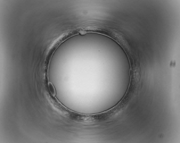 X0000113620395200909181121