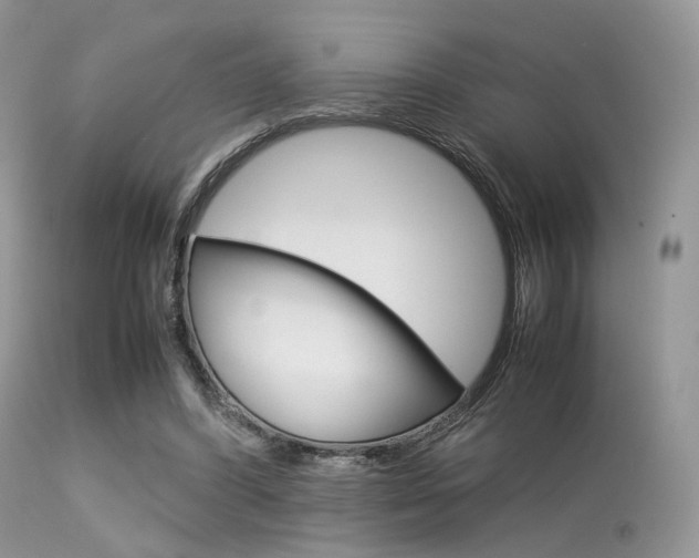 X0000113620396200909181121