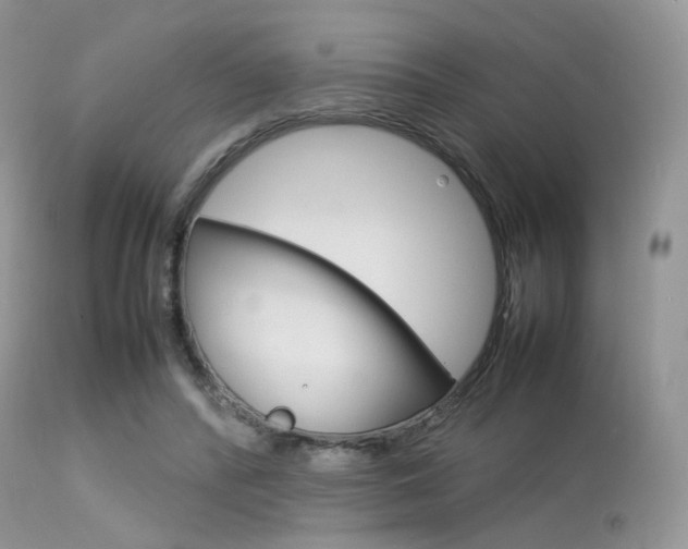 X0000113620400200909181121