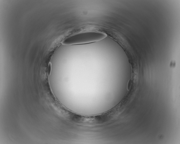 X0000113620401200909181121