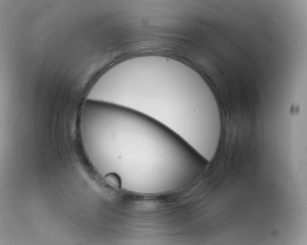 X0000113620404200909181121