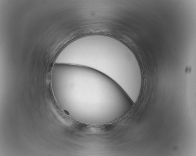 X0000113620405200909181121