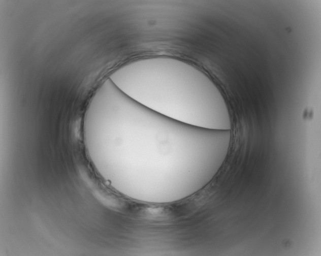 X0000113620406200909181121