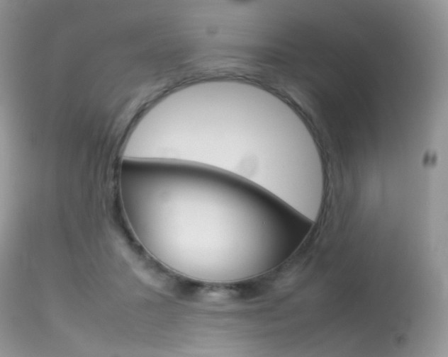 X0000113620407200909181121