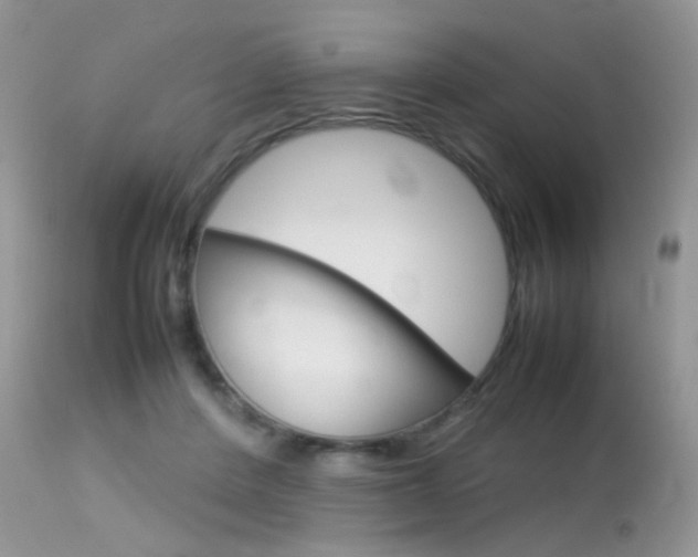 X0000113620408200909181121