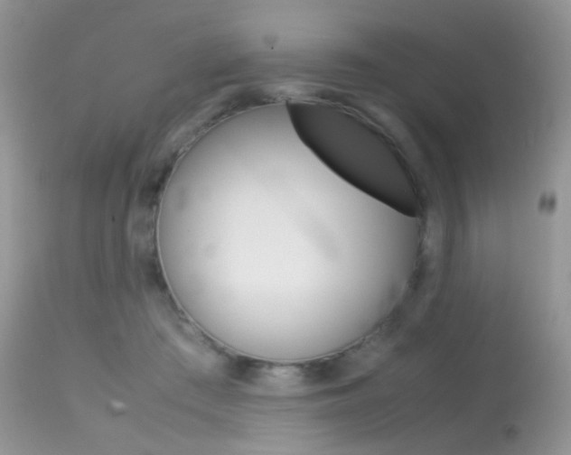 X0000113620409200909181121