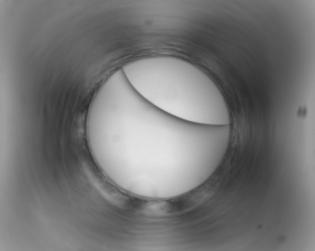 X0000113620410200909181121