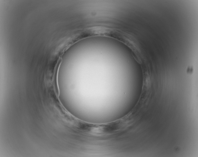 X0000113620411200909181121