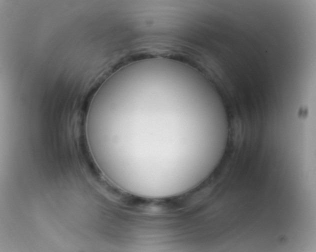 X0000113620412200909181121