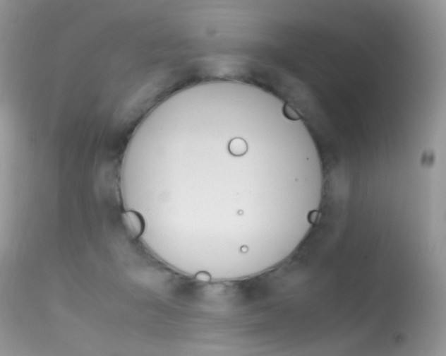 X0000113620415200909181121