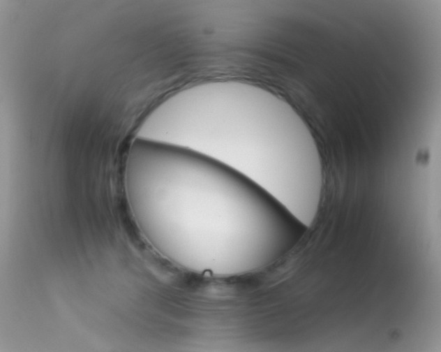 X0000113620416200909181121