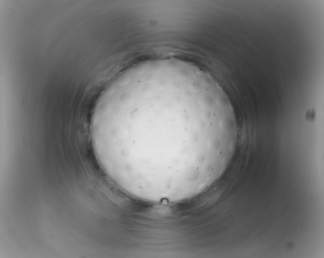 X0000113620418200909181121