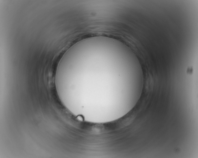 X0000113620420200909181121