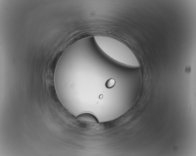 X0000113620421200909181121