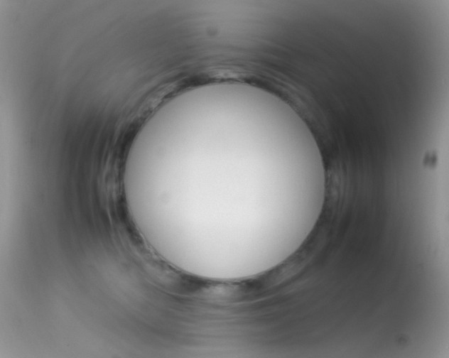 X0000113620422200909181121