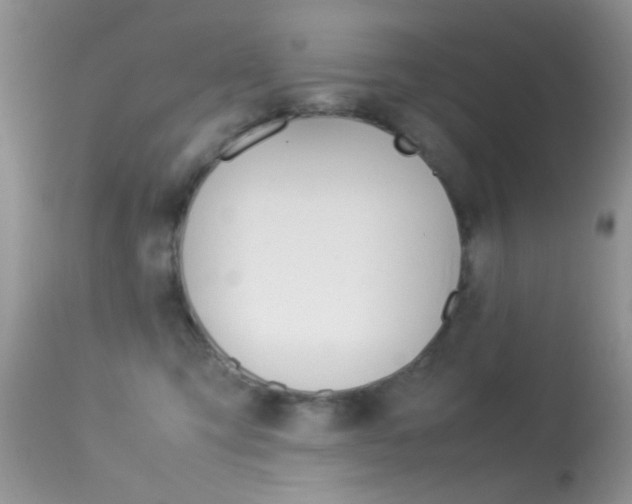 X0000113620423200909181120