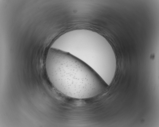 X0000113620424200909181120