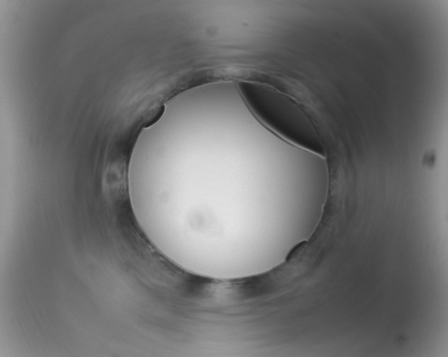 X0000113620425200909181120