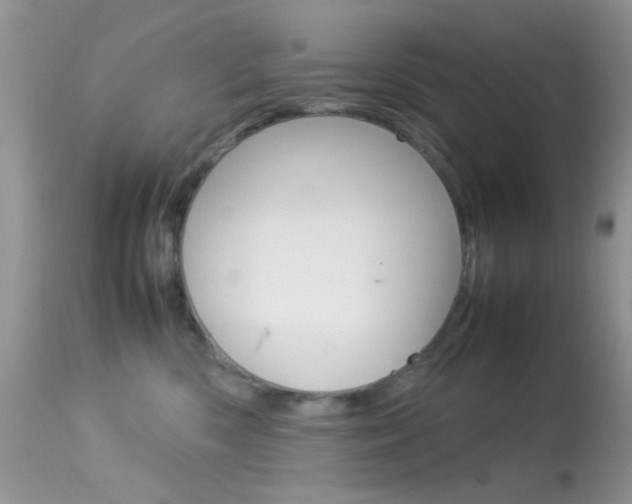 X0000113620426200909181120