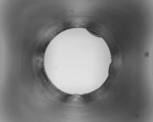 X0000113620427200909181120