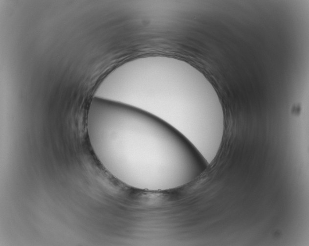 X0000113620428200909181120