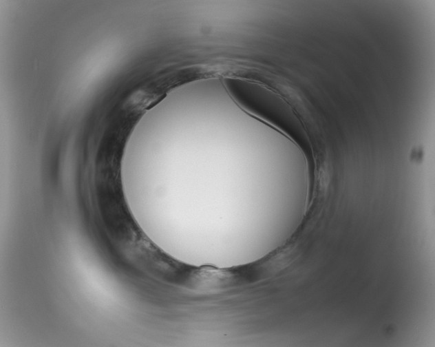 X0000113620429200909181120