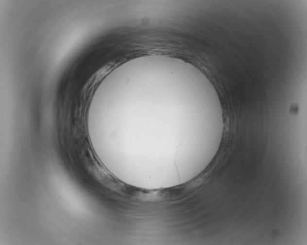 X0000113620430200909181120