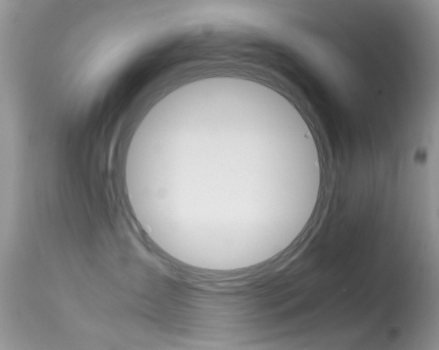 X0000113620431200909181120