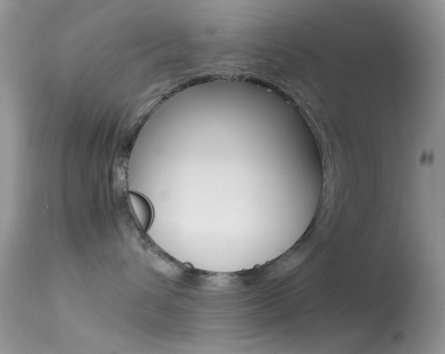 X0000113620432200909181120