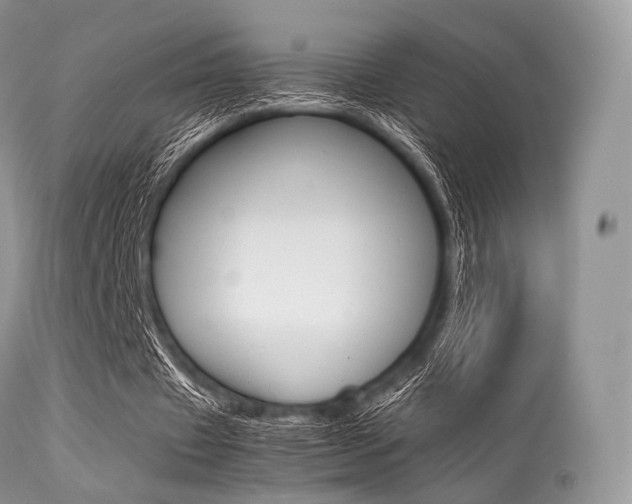 X0000113620433200909181120