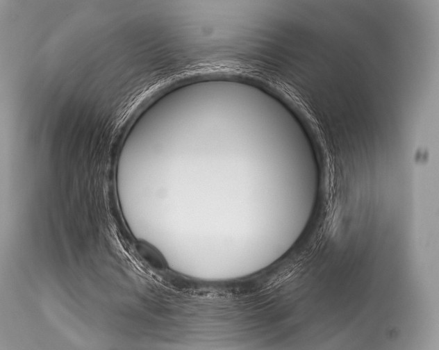 X0000113620434200909181120