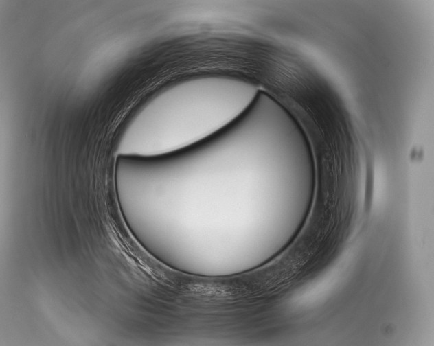 X0000113620435200909181120