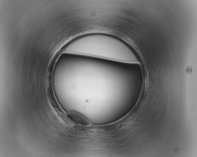 X0000113620436200909181120