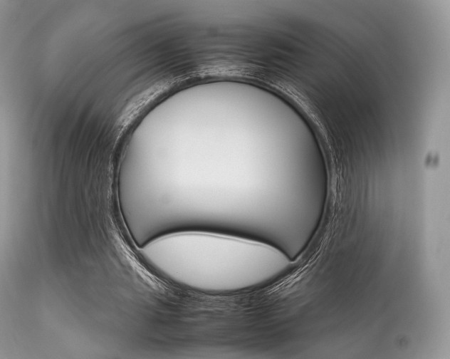 X0000113620437200909181120