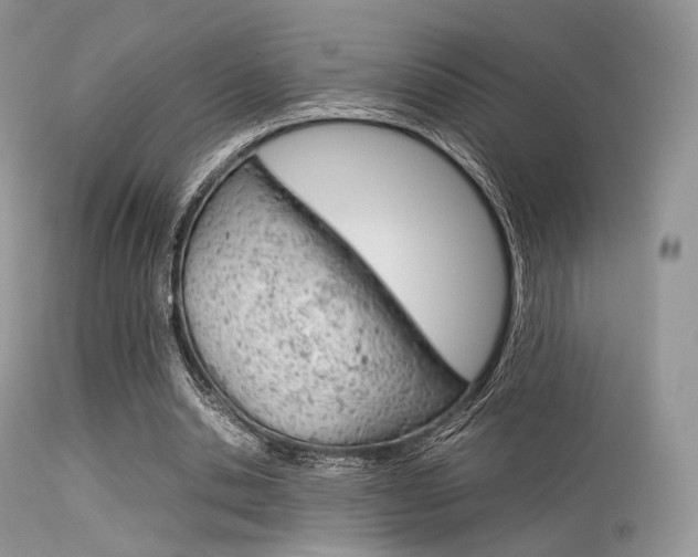 X0000113620438200909181120