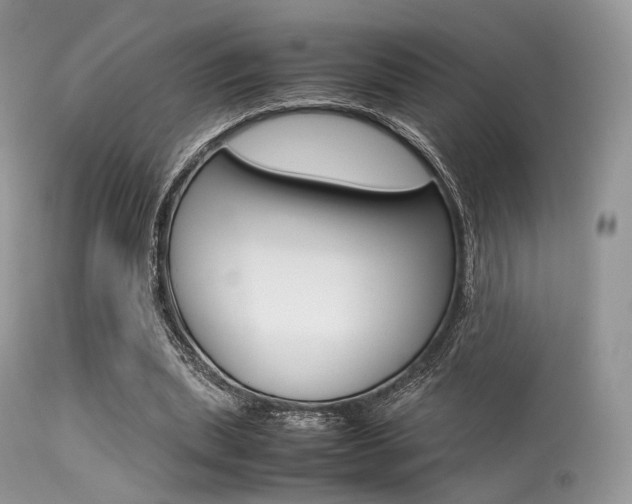 X0000113620439200909181120